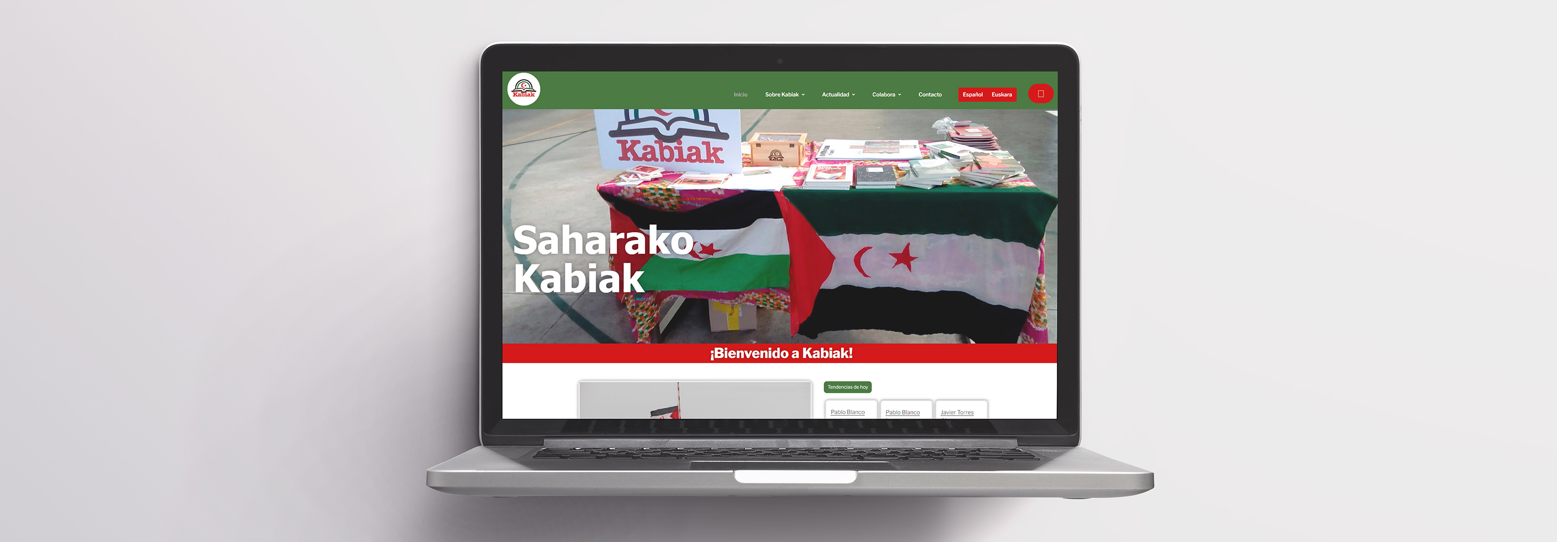 Proyecto no aprobado de la web de Kabiak
